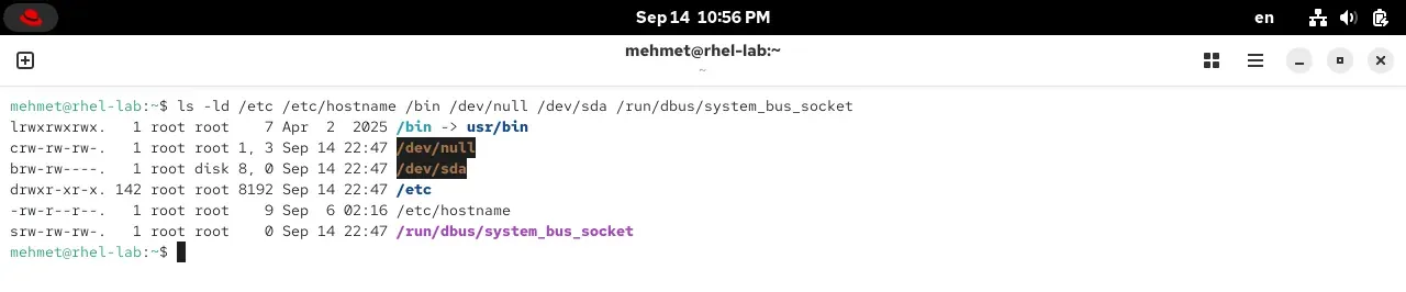 RHEL 10.2 terminalinde ls -ld ile farklı dosya türleri: dizin, sembolik bağlantı, karakter ve blok aygıtı, soket