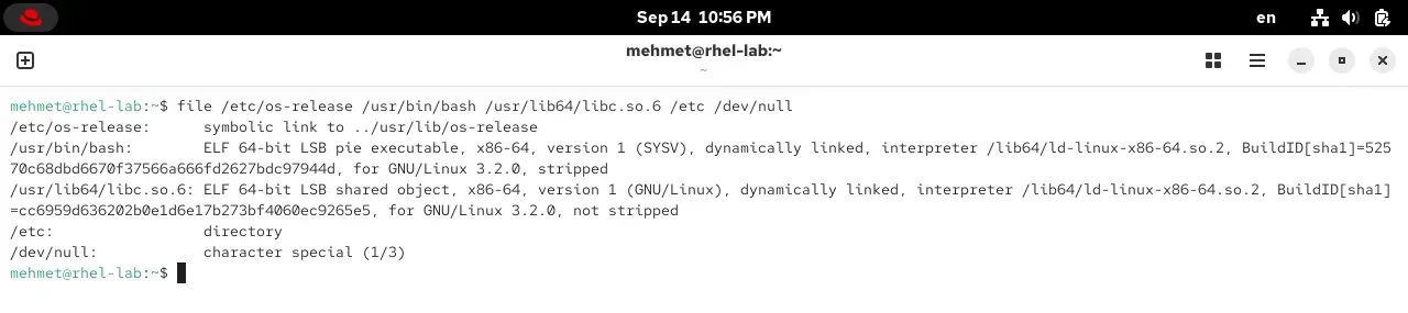 RHEL 10.2 terminalinde file komutu çıktısı: os-release sembolik bağlantı, bash ELF çalıştırılabilir, libc paylaşımlı nesne, etc dizin, null karakter aygıtı