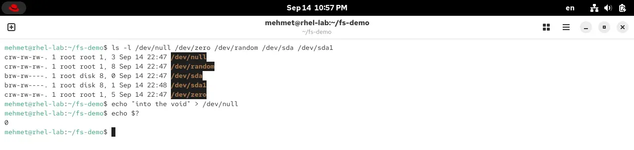 RHEL 10.2 terminalinde /dev aygıtları ve /dev/null'a yazma