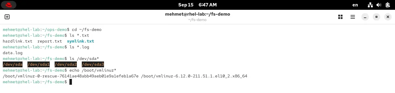 RHEL 10.2 terminalinde joker karakterler: yıldız ile uzantıya göre, /dev/sda* ve /boot/vmlinuz* eşleşmeleri