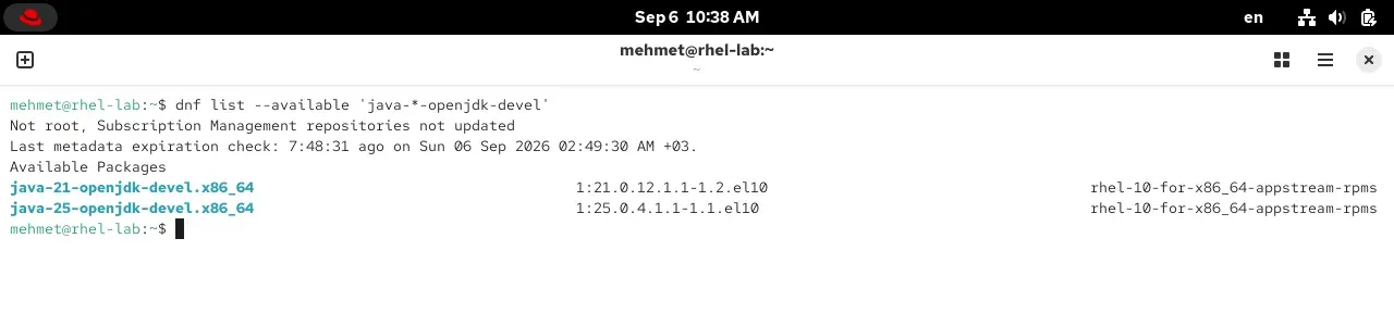 RHEL 10.2 terminalinde dnf list çıktısı: java-21-openjdk-devel ve java-25-openjdk-devel paketleri AppStream deposunda