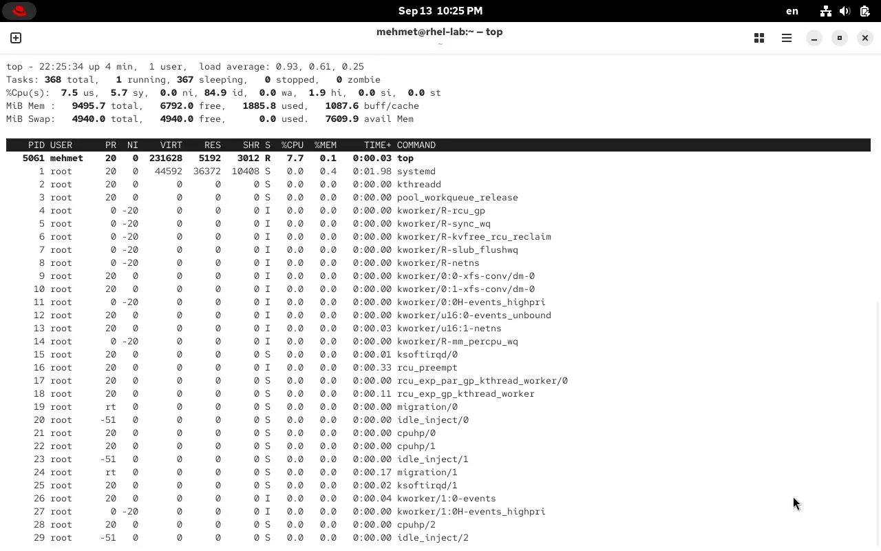 RHEL 10.2 terminalinde top komutu: tam ekran, canlı süreç izleyici