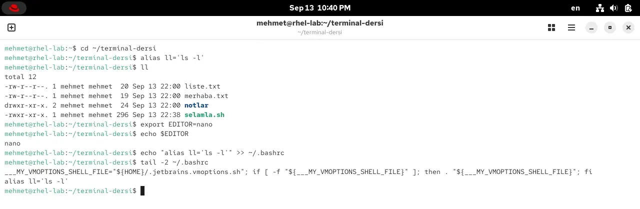 RHEL 10.2 terminalinde alias tanımlama, ortam değişkeni ve .bashrc'ye kalıcı ekleme