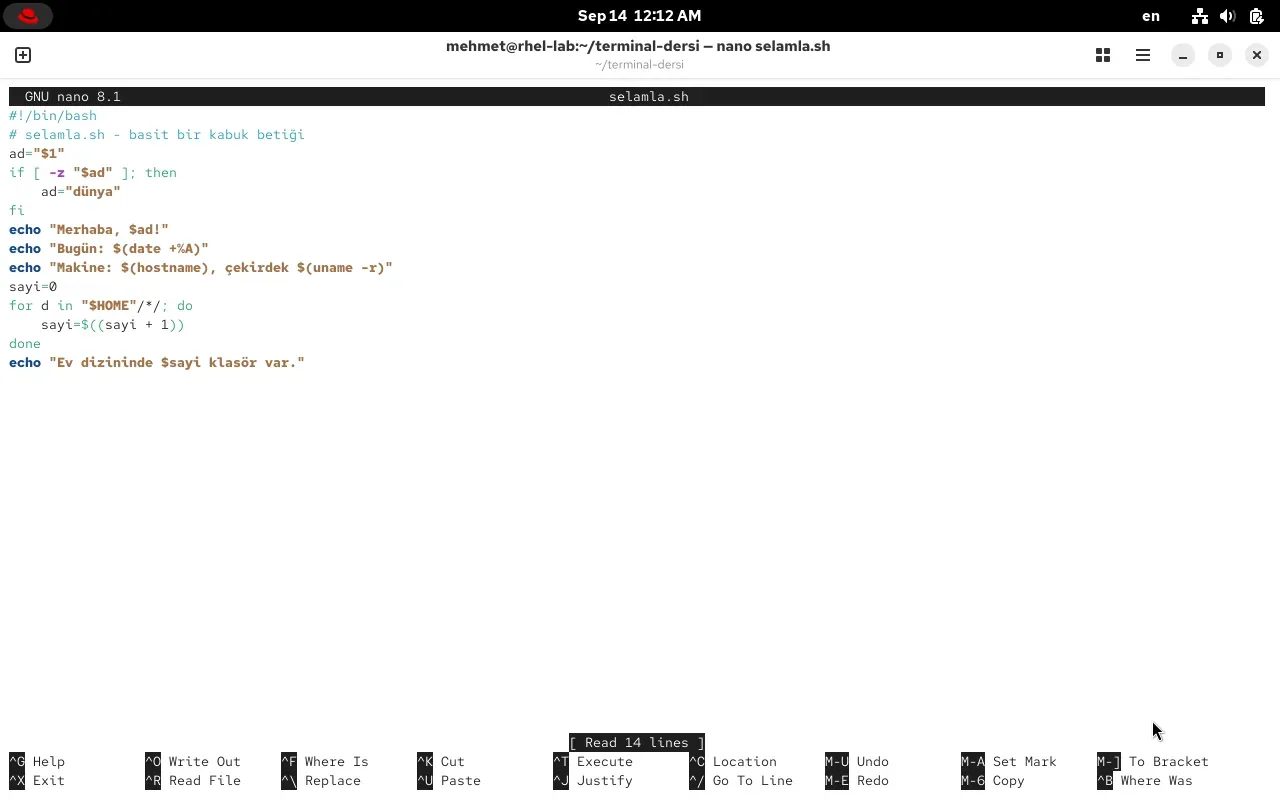 RHEL 10.2 terminalinde nano editöründe selamla.sh dosyası