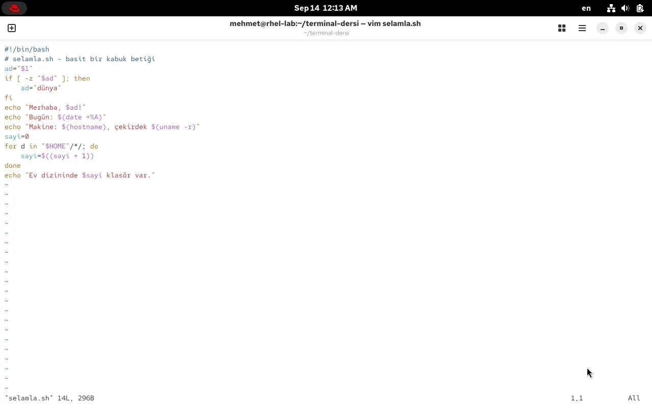 RHEL 10.2 terminalinde vim editöründe selamla.sh dosyası