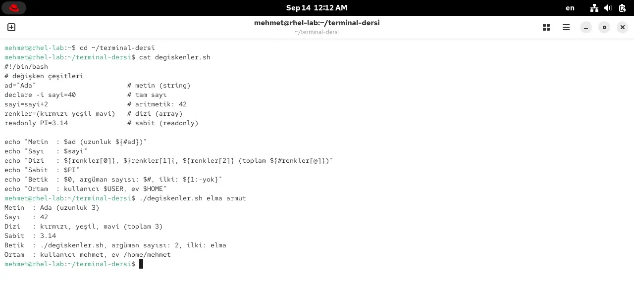 RHEL 10.2 terminalinde değişken çeşitlerini gösteren degiskenler.sh betiği ve çıktısı