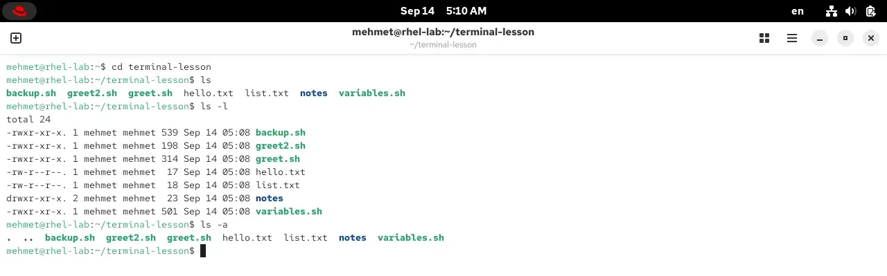The output of ls, ls -l and ls -a in a RHEL 10.2 terminal